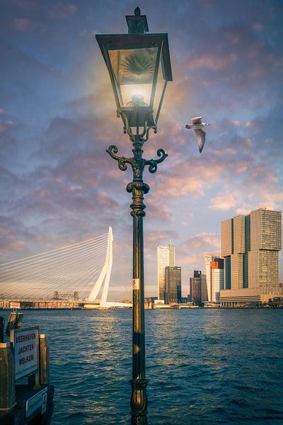 Lantaarn voor de Erasmusbrug in de avondzon in Rotterdam Nederland van Bart Ros