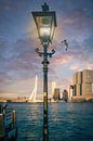 Lantaarn voor de Erasmusbrug in de avondzon in Rotterdam Nederland van Bart Ros thumbnail