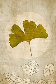 Ginkgo. Japandi. Basic. by Alie Ekkelenkamp