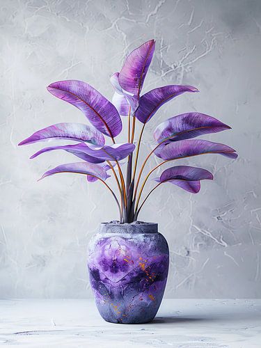 La plante pourpre