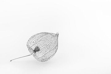 Die einsame Laterne (schwarz-weiß) von Marjolijn van den Berg
