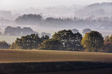 Eyserbos sur Rob Boon