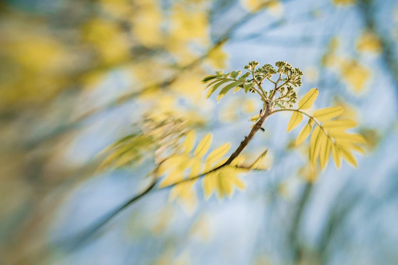 Fresh Exposed by Hiske Boon