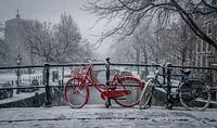 Vélo rouge dans la neige par Toon van den Einde Aperçu
