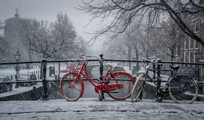 Rode fiets in de sneeuw van Toon van den Einde
