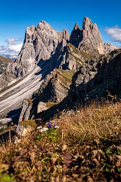 Seceda der Geislergruppe in den Dolomiten von Michael Bollen