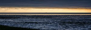 Mer des Wadden près de Koehool