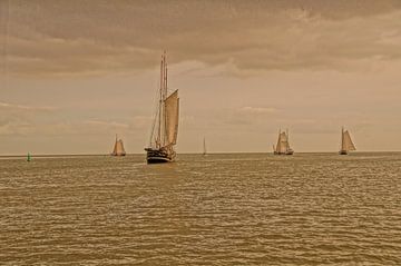 Zeilschepen op het IJsselmeer