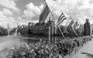 Provincial flags Binnenhof The Hague Hofvijver by Arthur Scheltes