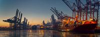 Containerschepen en kranen in de haven van Hamburg bij schemering
