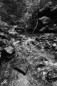 Der Riesbach im Riesloch bei Bodenmais 7