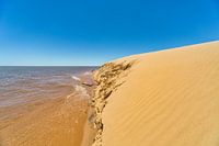 Dune island "Las Dunas de San Cosme y Damian" in the middle of the Rio Parana near