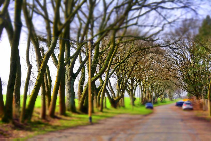 Boomstilleven met auto's van Edgar Schermaul