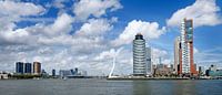 Skyline Rotterdam  van Roel Dijkstra thumbnail