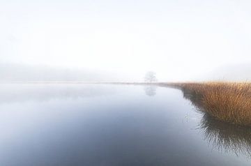 Nebliger Morgen Duurswouderheide - Friesland (Niederlande) von Marcel Kerdijk