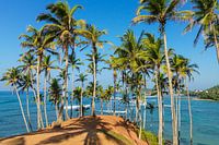 The magic of Coconut Tree Hill, Sri Lanka