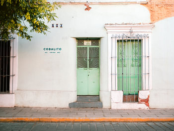 Faded Green Oaxaca