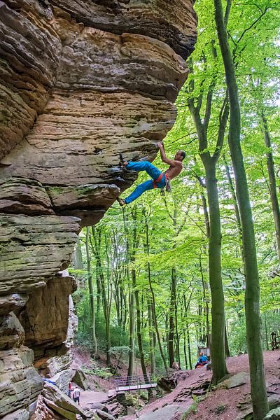 Mountaineer by Wilna Thomas