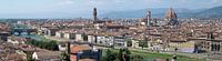 Florence panorama par Carel van der Lippe Aperçu