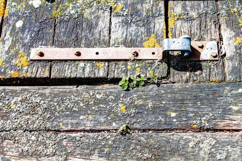 Planches en bois rustique