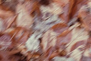 Kleurvol dynamisch abstract