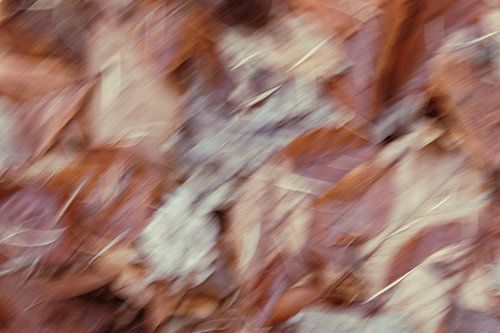 Colourful dynamic abstract