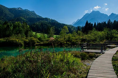 Belle nature sereine au lac Zelenci Slovénie