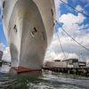 SS Rotterdam sur Tonny Visser-Vink