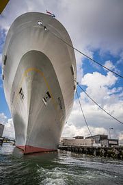 SS Rotterdam van Tonny Visser-Vink