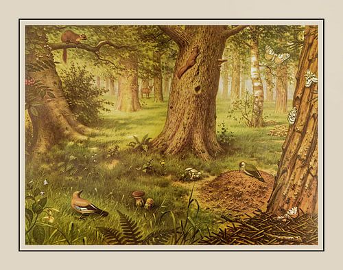 Schulschild M.A. Koekkoek - "Im Wald"