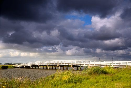 Polder landscape by Ger Nielen