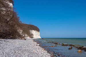 Kreidefelsen an der Küste der Ostsee auf der Insel Rügen