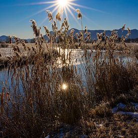 Strahlende Augenblicke an der Ach in Uffing von Christina Bauer Photos