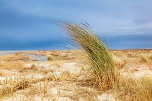 Duinlandschap op Ameland van Evert Jan Luchies