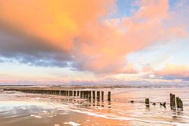 Vote du matin sur Leendert Noordzij Photography