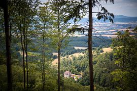 Ausblicke über Berge und Wälder von Suzanne Schoepe