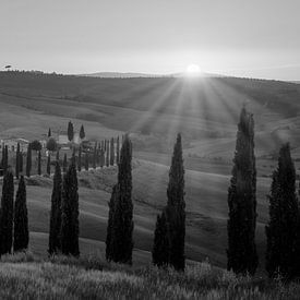 Monochrome Tuscany in 6x17 format, Podere Baccoleno II by Teun Ruijters