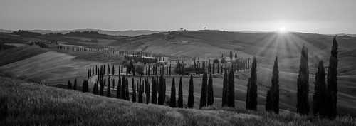 Monochrome Tuscany in 6x17 format, Podere Baccoleno II