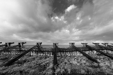 Palendijk onder wolkenhemel van Felix Sedney