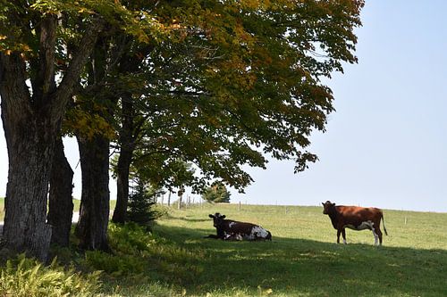 Een boerderij in de herfst