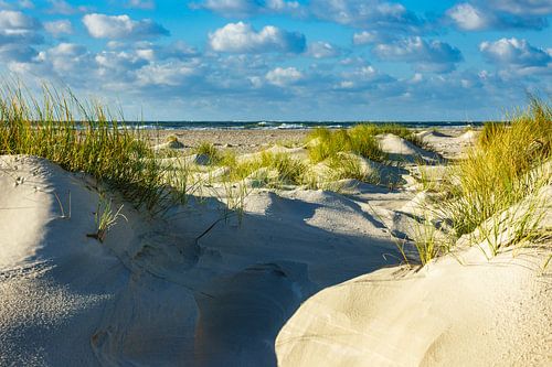 Landschaft mit Dünen auf der Insel Amrum