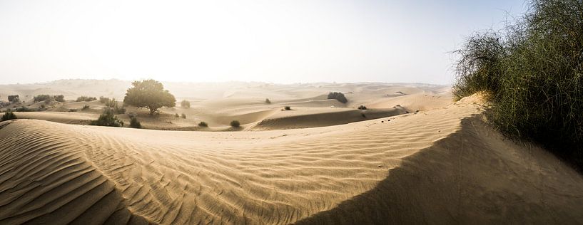 Beige woestijn panorama in India van Björn Jeurgens