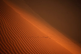 Detail of sand dunes in the Sahara by Bram Tempelaar Photography
