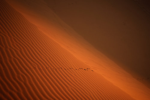 Detail van Zandduinen in de Sahara