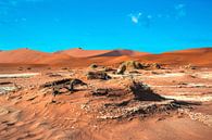 Sand Hills im Toten Tal, Namibia von Rietje Bulthuis Miniaturansicht