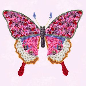 Bloemen-vlinder van Klaartje Majoor