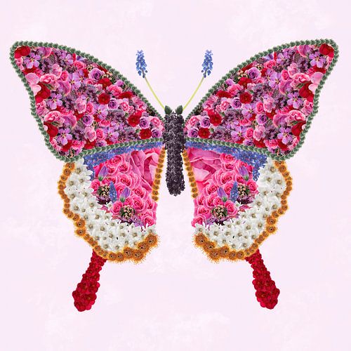 Flowers butterfly by Klaartje Majoor