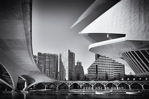 Palau de les Arts Reina Sofia - Valencia van Rick Van der Poorten