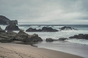 The rugged coast by tim eshuis