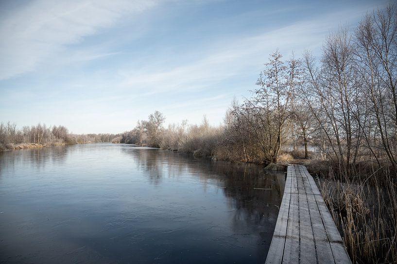 Bridging, De Deelen, Friesland, 2021 by Anna den Broeder